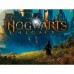 NINTENDO-NS-J HOGWARTS LEG STD-DU8 NINTENDO-NS-J HOGWARTS LEG STD