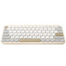 ASU-TEC MARSH KW100 BG-DU9 ASU-TEC MARSH KW100 BG