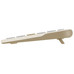 ASU-TEC MARSH KW100 BG-DU9 ASU-TEC MARSH KW100 BG