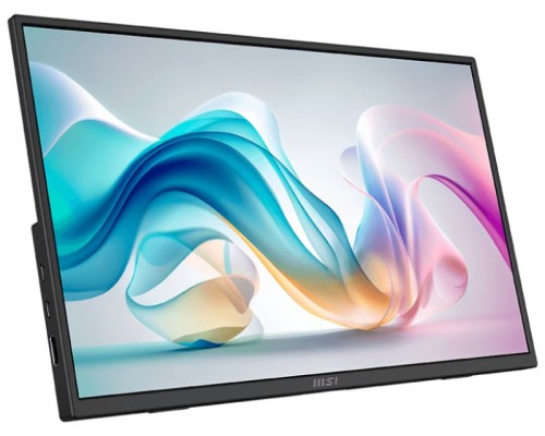 MONITOR MSI PRO MP165 E6