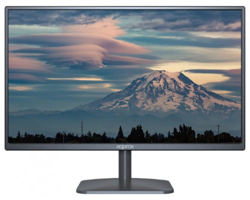 MONITOR APPM19B NEGRO APPROX