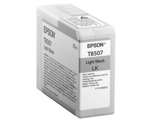 TINTA EPSON C13T850700