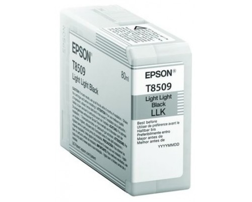 TINTA EPSON C13T850900