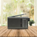DAE-RADIO DW1035-DU4 DAE-RADIO DW1035