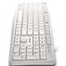 TECLADO NGS HERITAGE WH-DU2 TECLADO NGS HERITAGE WH