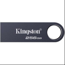 MEMORIA KINGSTON-JETFLASH SE9 G3 GY 256GB